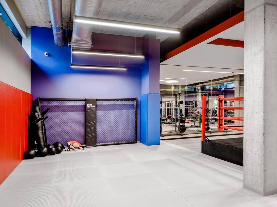 A gym with purple and red walls, weightlifting equipment, and a boxing ring.
