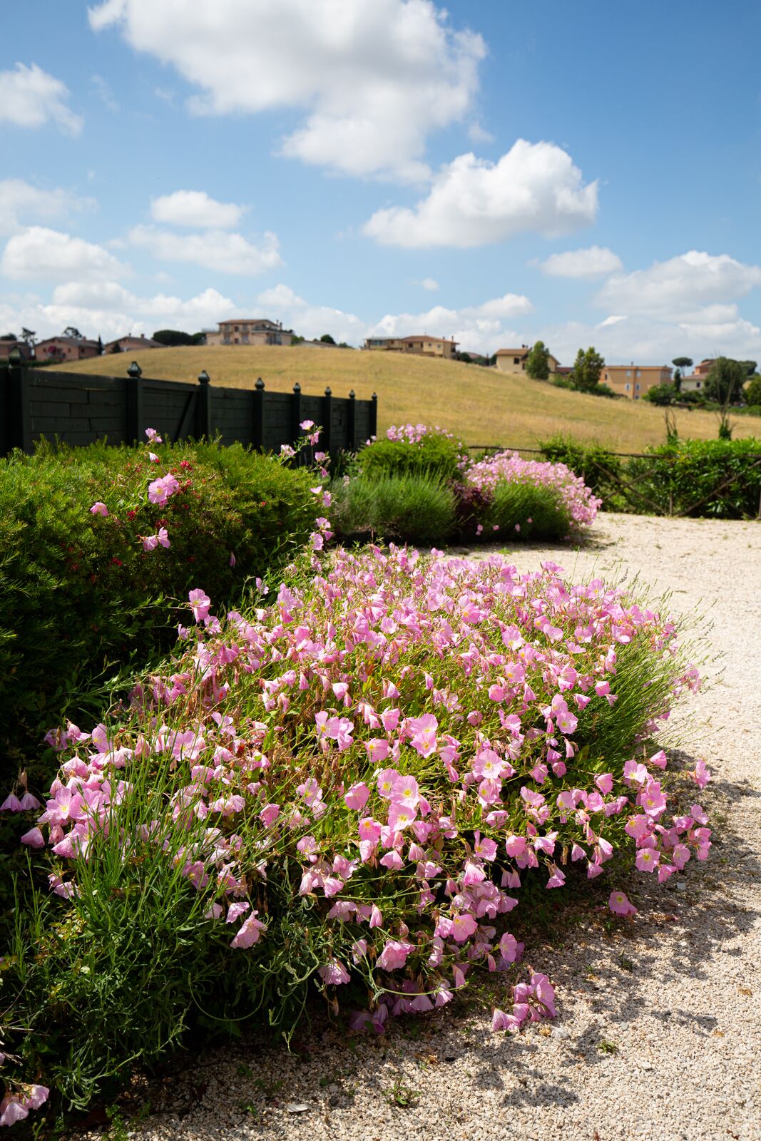 Vue sur la campagne depuis l’hébergement