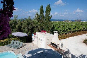 A pool area with a view of the sea, surrounded by greenery and a barbecue area.