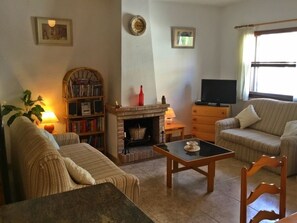 Télévision, cheminée, lecteur de DVD, livres