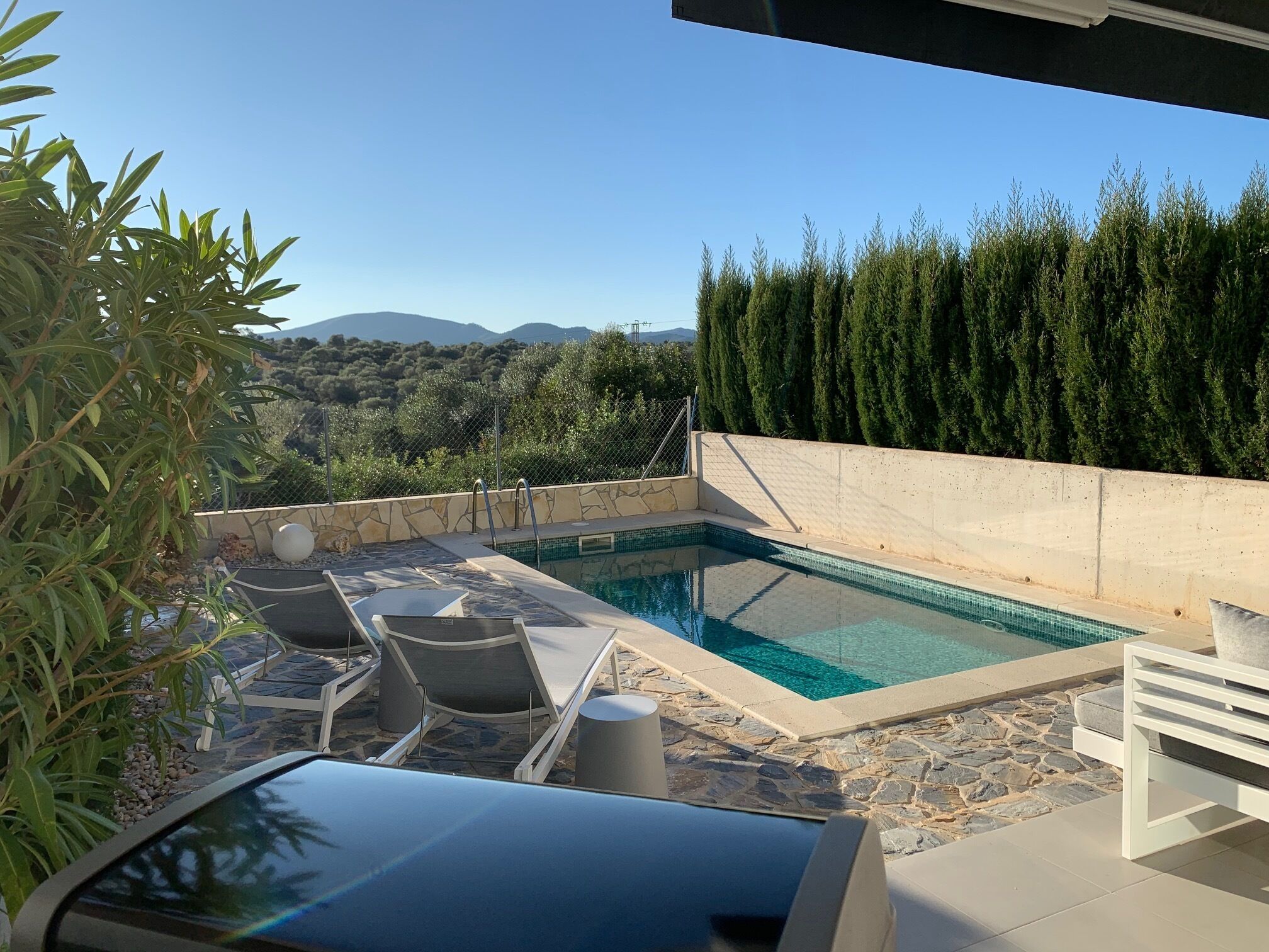 Outdoor pool, pool loungers