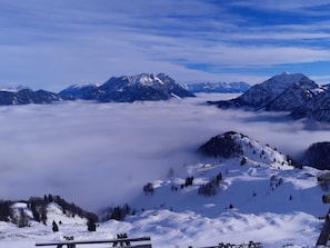 Unclassified image, 5 of 69, button