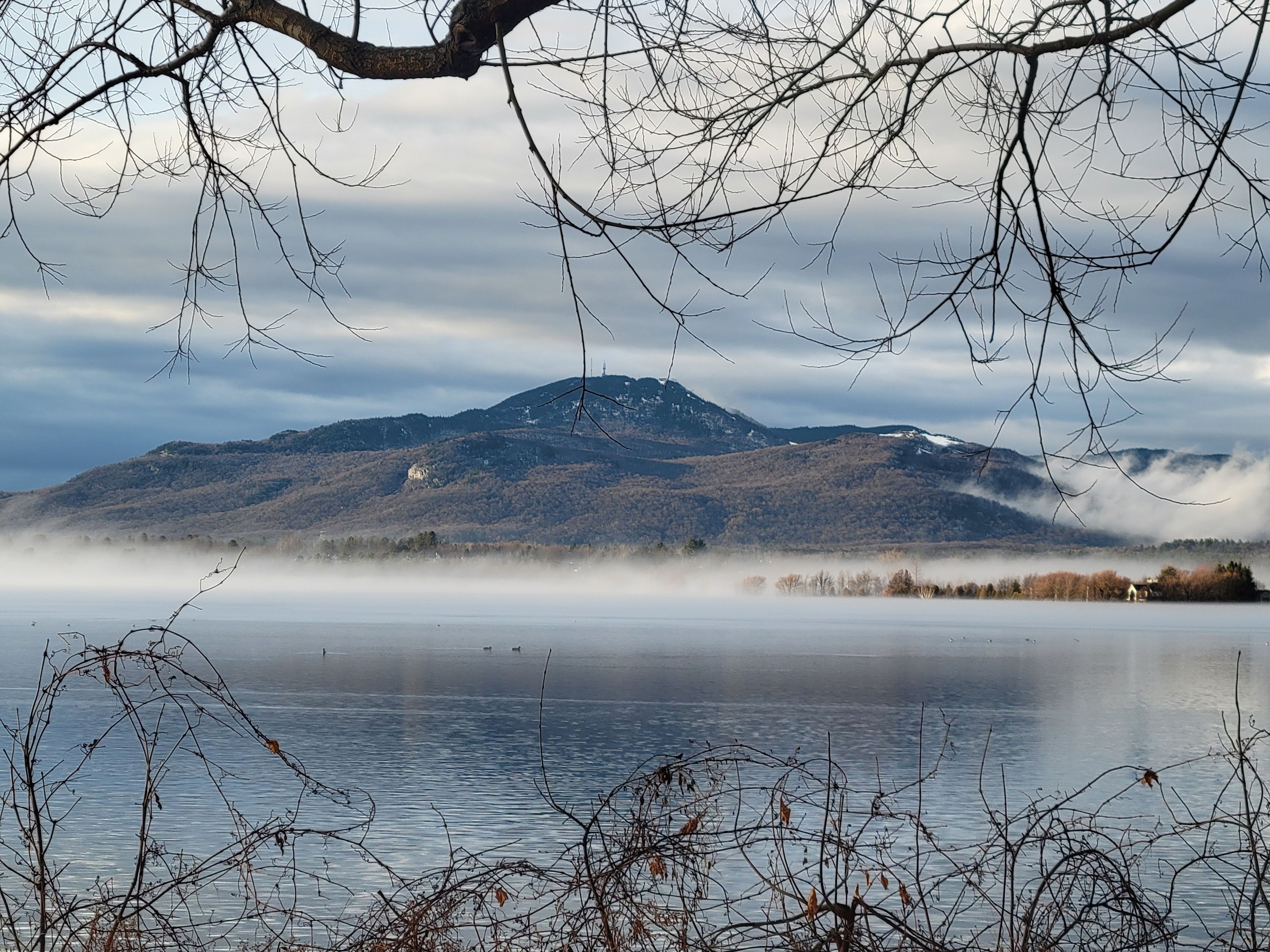 Ein ruhiger See mit einem Berg im Hintergrund und einem Ast im Vordergrund.