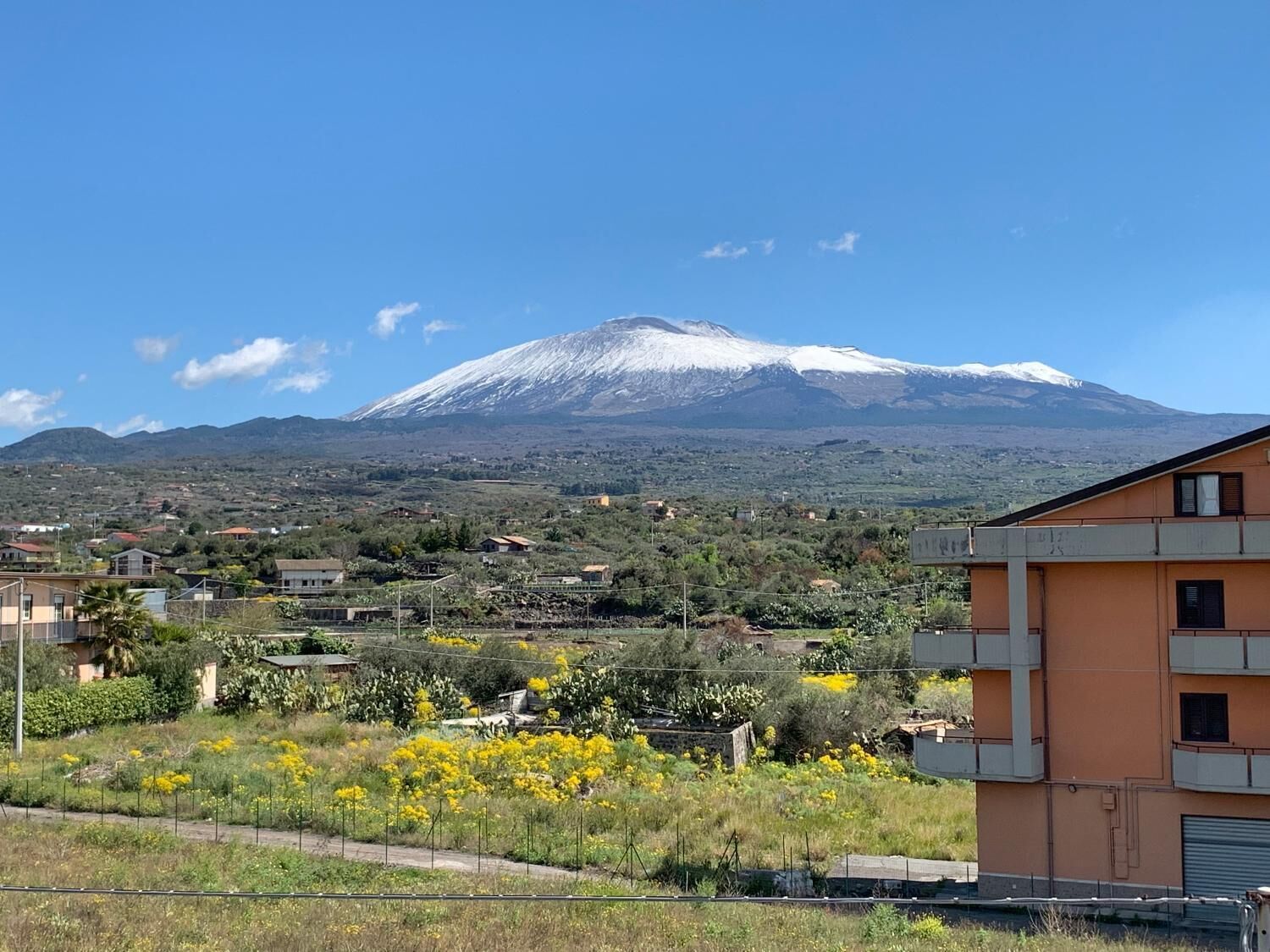 Una montaña con cima nevada al fondo, rodeada por una zona residencial con casas y un edificio con balcón.