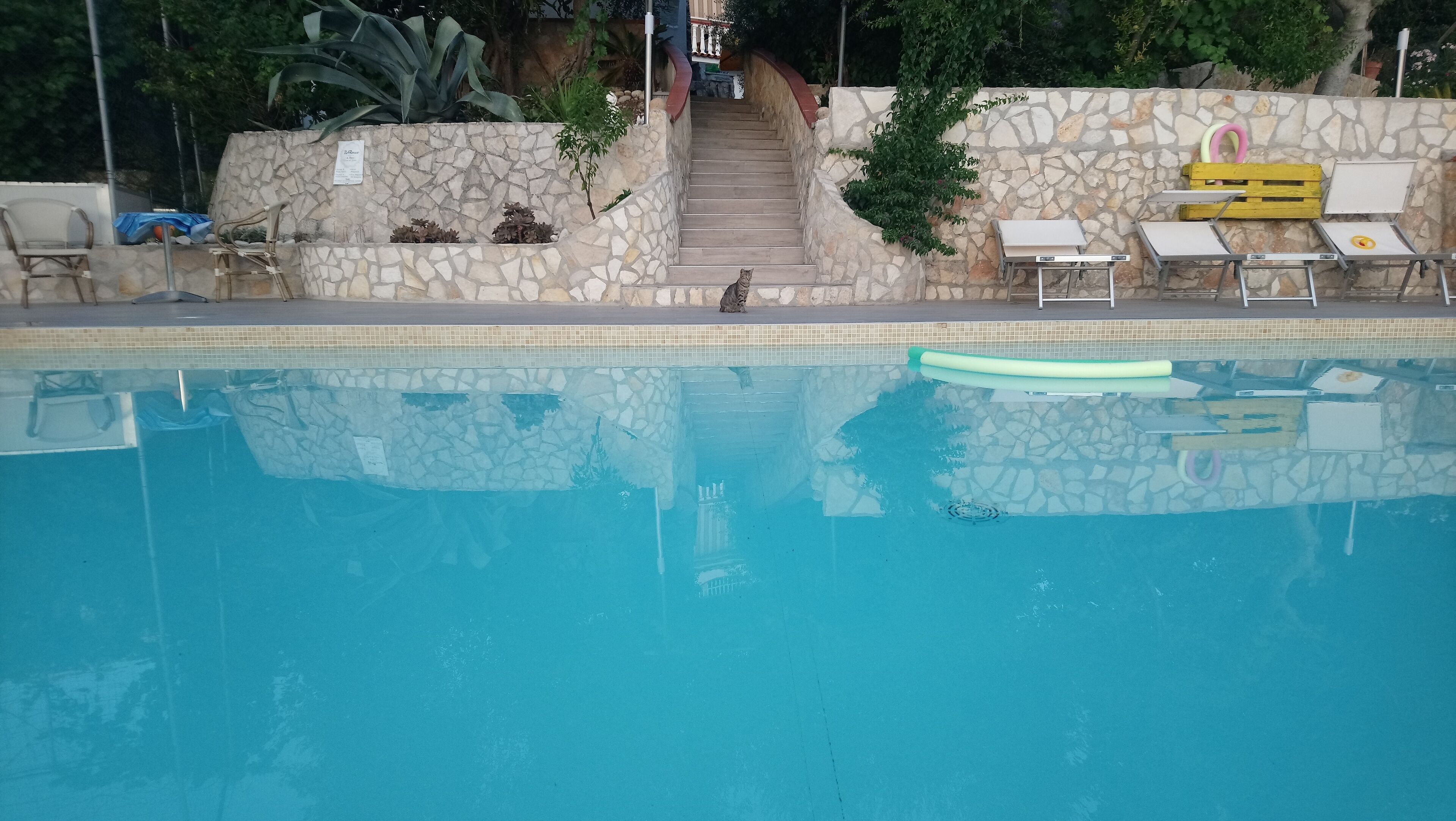 Una piscina con un muro de piedra y escalones que suben a una terraza de madera.