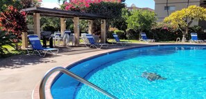Outdoor pool, a heated pool - BEAUTIFUL SPACIOUS CONDO ACROSS FROM BEACH (Kihei)