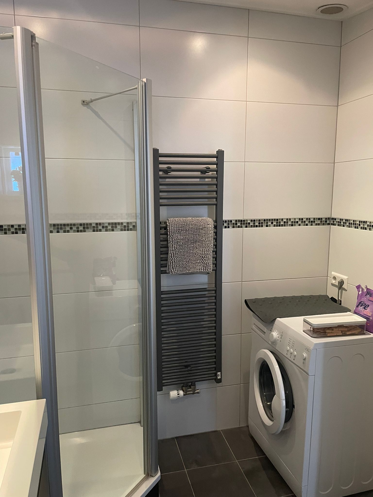 Shower, hair dryer, soap, toilet paper