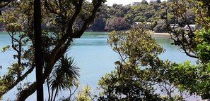 Vista de un lago rodeado de árboles y edificios.