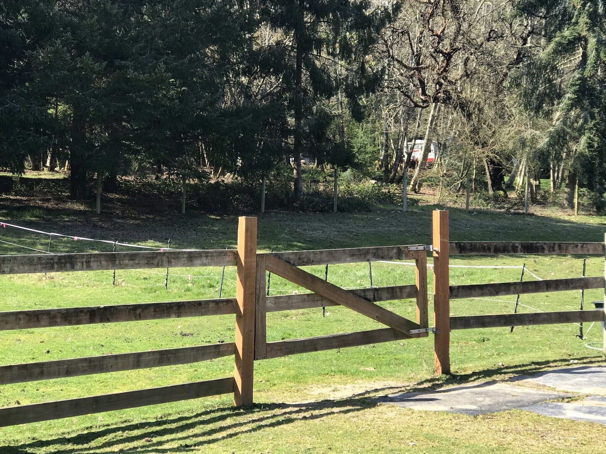 Une porte en bois dans un parc, avec une pelouse et des arbres en arrière-plan.