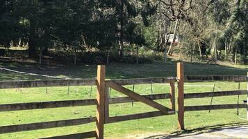 Une porte en bois dans un parc, avec une pelouse et des arbres en arrière-plan.