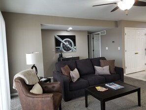 Smart TV, fireplace, books