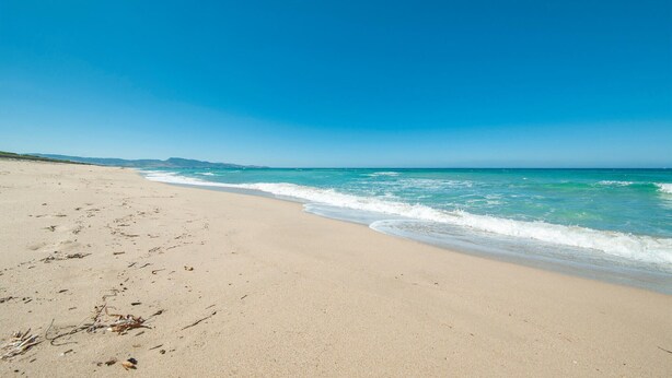 Ein Strand mit klarem, blauem Wasser und einem sandigen Ufer.