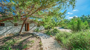 Ein Steinhaus mit Holztür und -fenstern, umgeben von Grünpflanzen und einem Kiesweg.