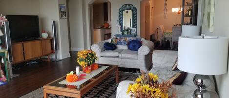 TV, Netflix, streaming services