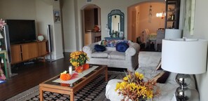 TV, Netflix, streaming services - Waterfront Paradise condo (Bradenton)