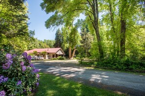 Property grounds - Avalon House (Harrietville)