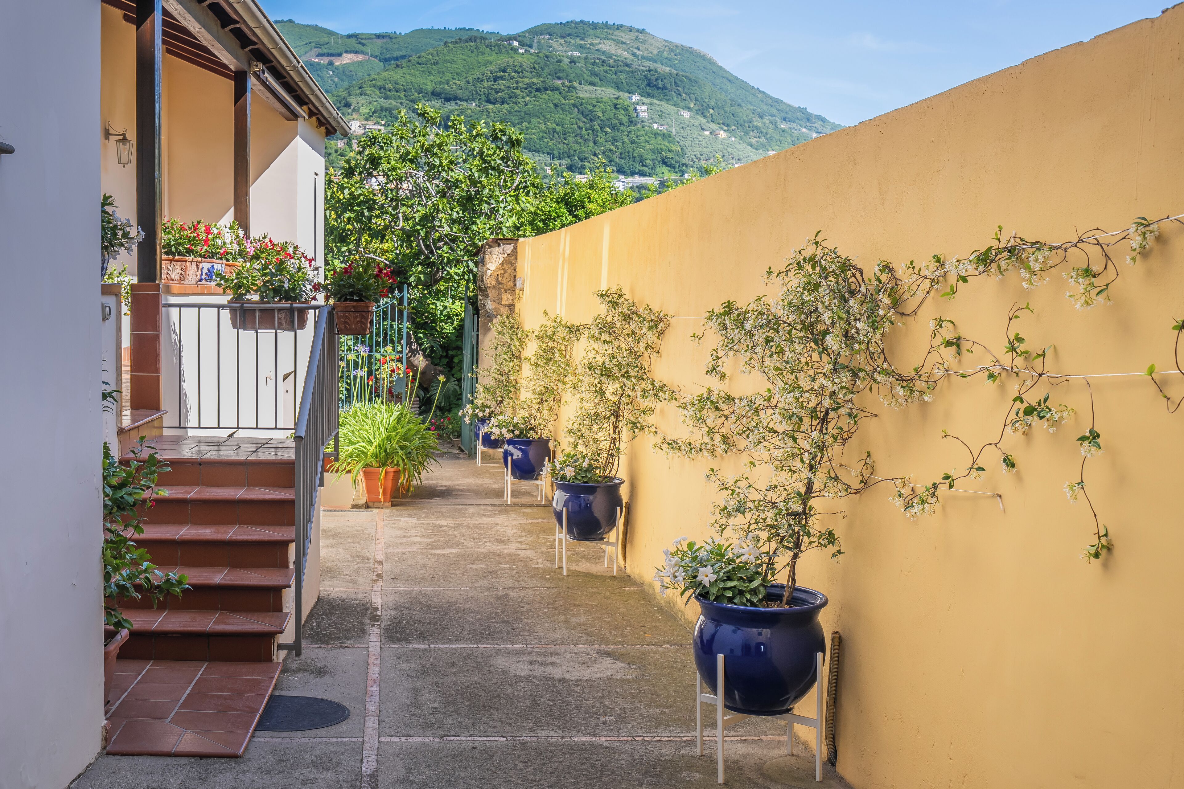 Une ruelle étroite, bordée de plantes en pot, avec un escalier menant à un immeuble.