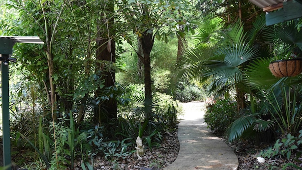 Un chemin en béton, bordé d’une végétation tropicale luxuriante, mène à un bâtiment surmonté d’un toit végétalisé.