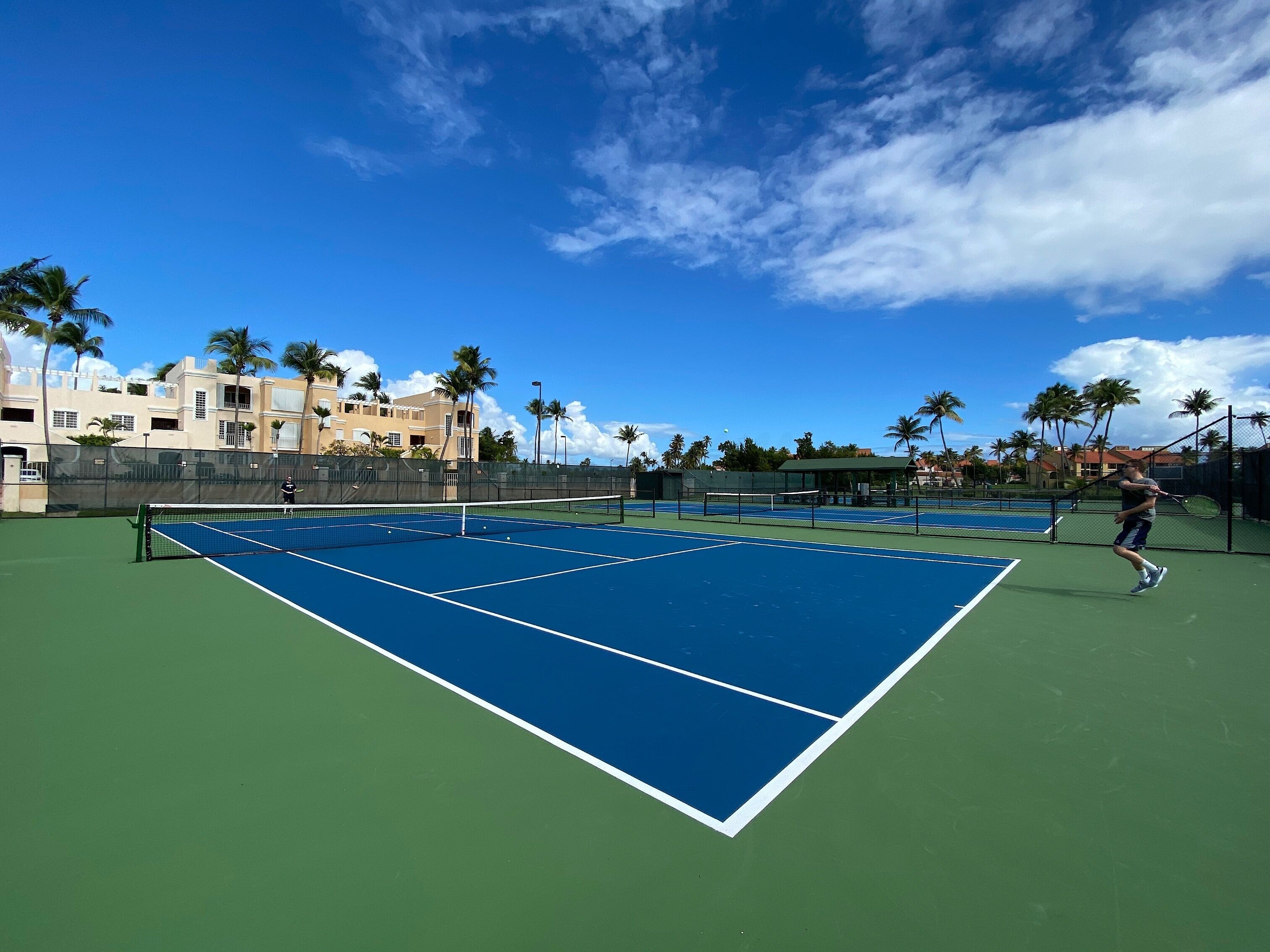 Un campo da tennis con una rete, circondato da palme e edifici.