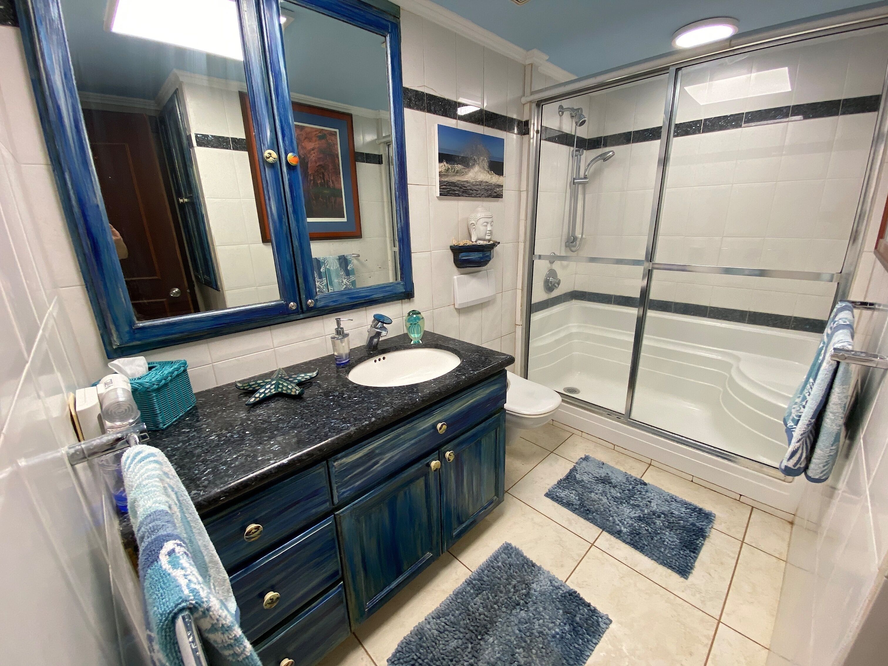 Une salle de bain avec un lavabo, un miroir et une douche.