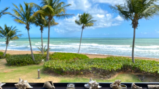 Vista de praia tropical com palmeiras, ondas do oceano e uma mesa com frutas e bebidas.