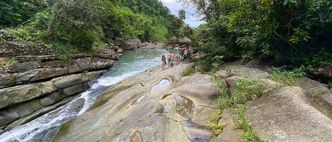 Un lecho fluvial rocoso y natural con un arroyo de agua clara, rodeado de vegetación exuberante.