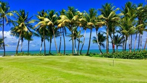 Um campo de golfe com vista desobstruída para o oceano e palmeiras.