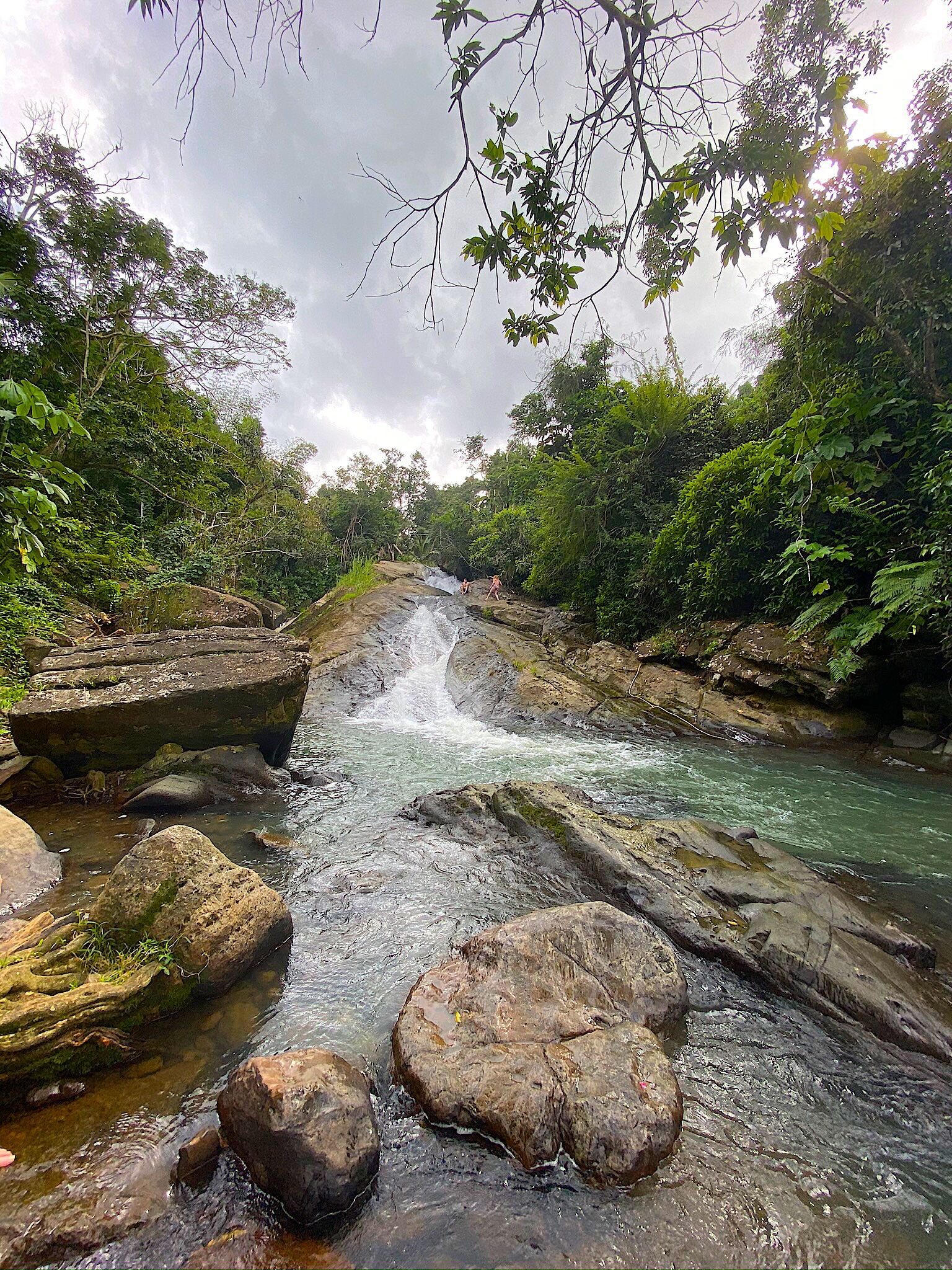 A river flowing through a rocky landscape with dense foliage on both sides.
