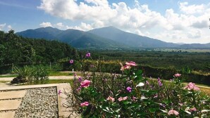 A garden with pink flowers and a view of mountains in the background. - Ranis Lodge (Langkawi)