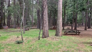 A forested campground with picnic tables and a bench. - Sunflower House near Skiing, boating and Apple Hill (Pollock Pines)