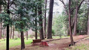 A forested area with a bench and a small wooden structure. - Sunflower House near Skiing, boating and Apple Hill (Pollock Pines)
