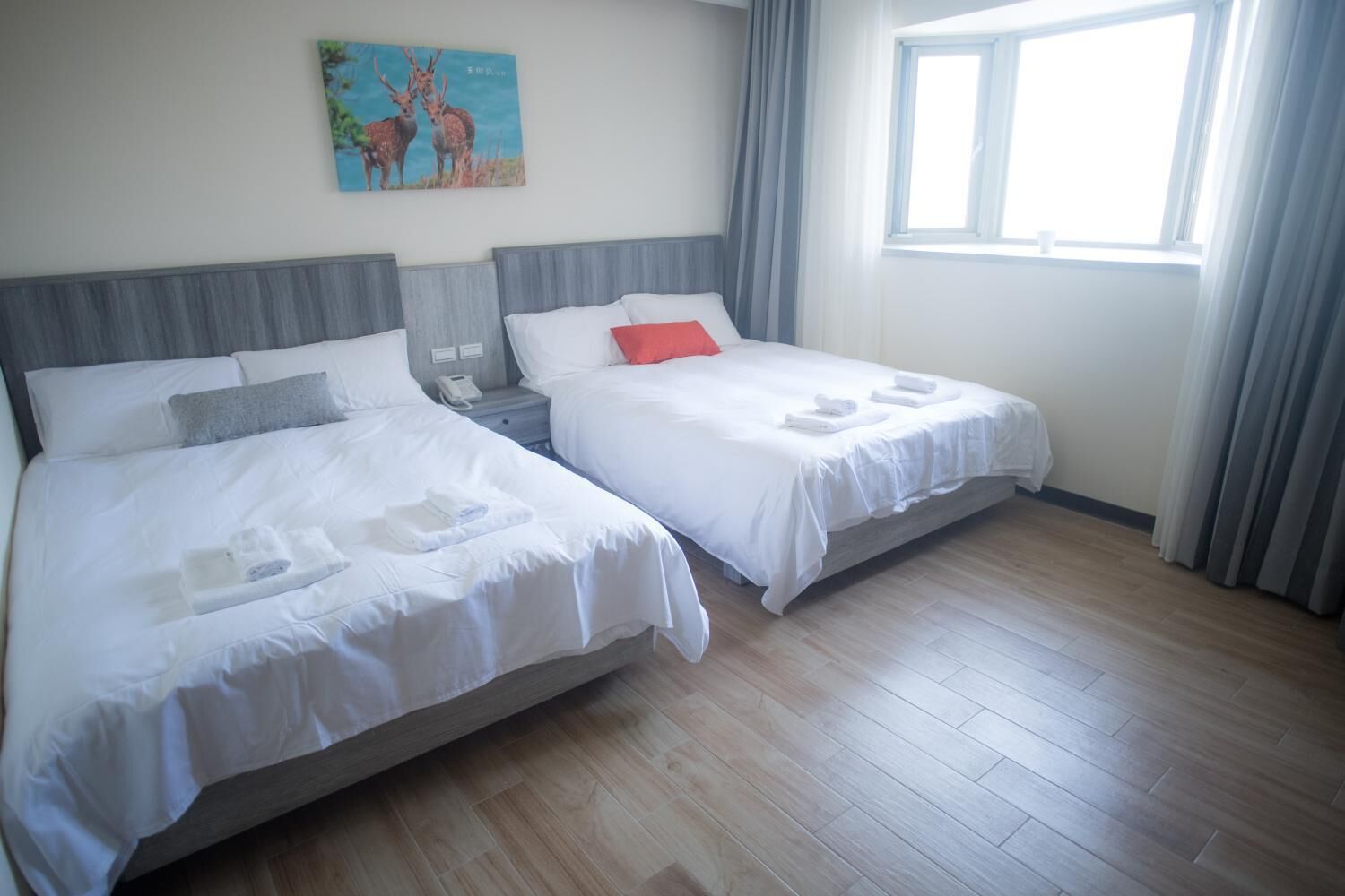 Desk, blackout curtains, soundproofing, free WiFi