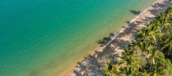 Tropisk strandoas i Clifton Beach