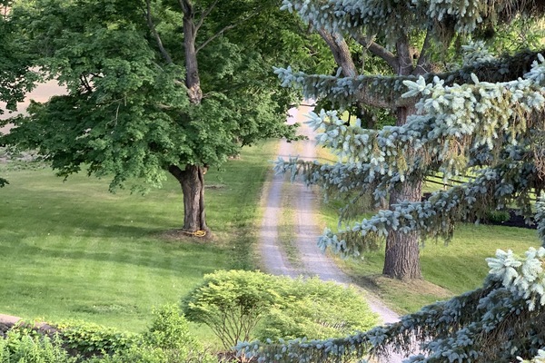 Àrea exterior de l'allotjament