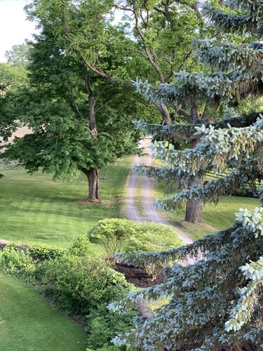  Secluded European Style 1810 Mansion minutes to the lake, sleeps 15