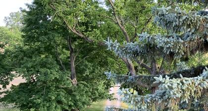 Secluded European Style 1810 Mansion minutes to the lake, sleeps 15