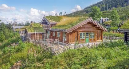 4 bedroom stunning home in Hemsedal