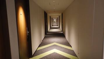A hotel hallway with carpeted floors and doors on both sides.