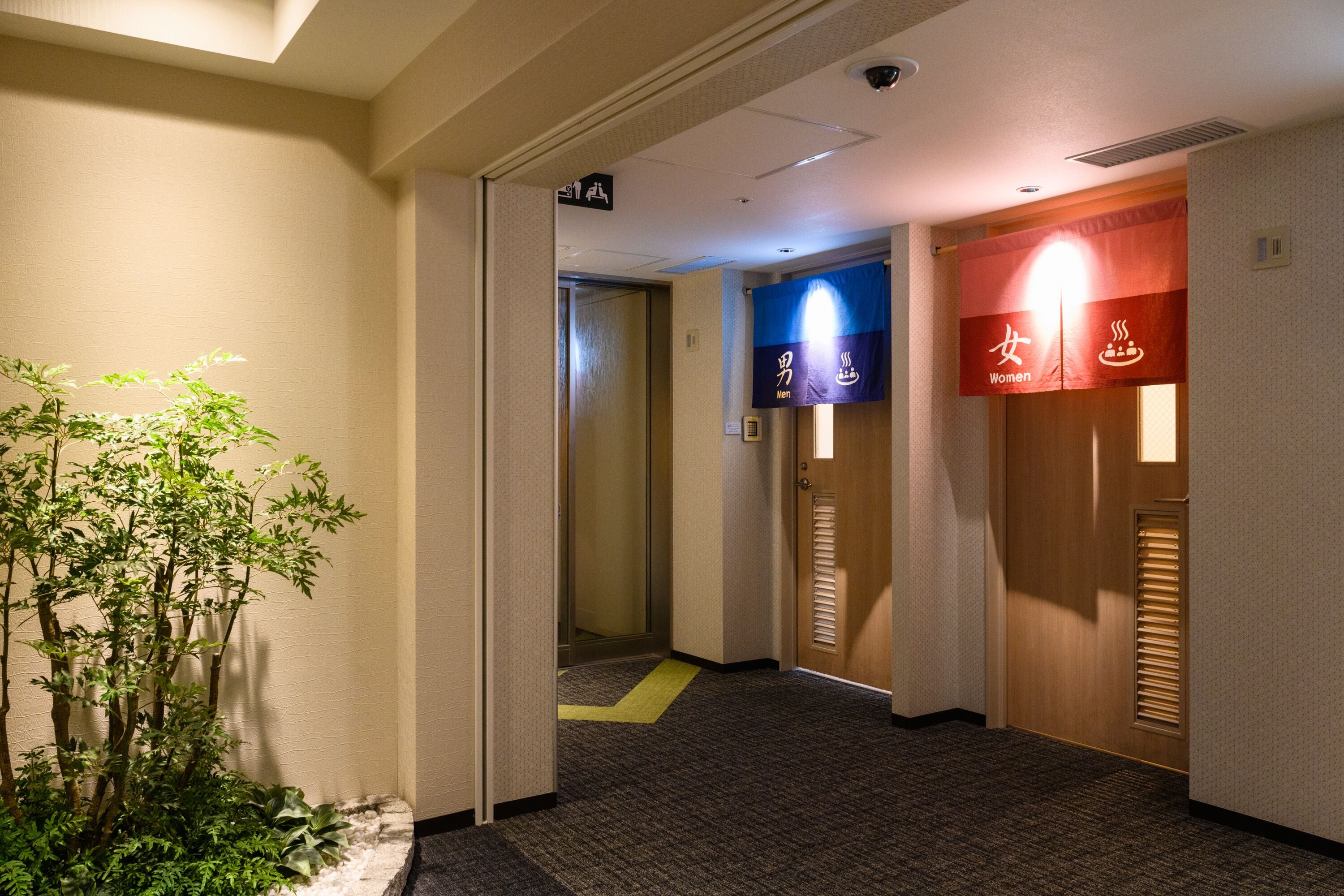 A hotel hallway with a plant, a blue and red sign indicating men and women restrooms, and a carpeted floor.