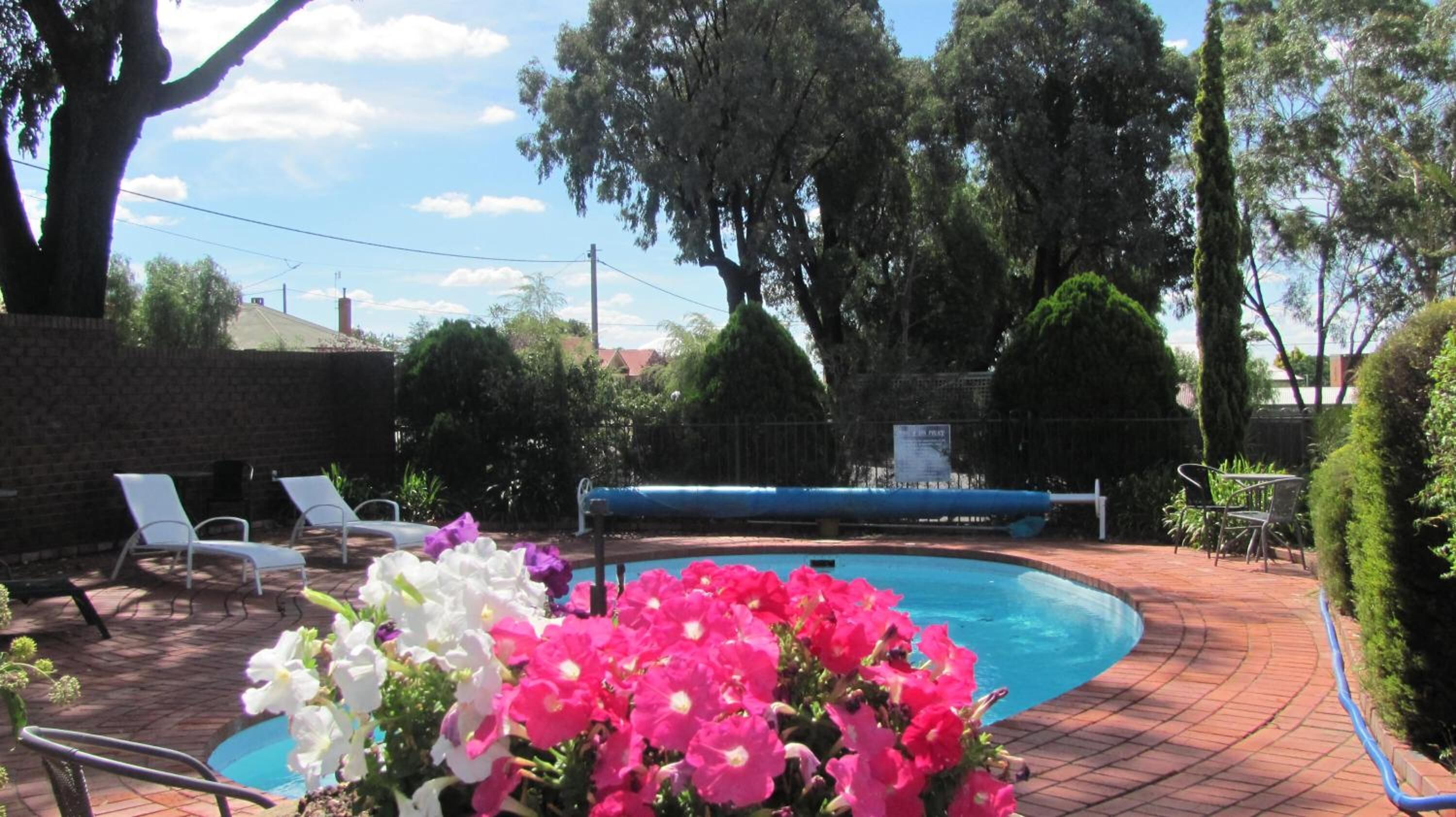 Una piscina con tumbonas y macizos de flores.