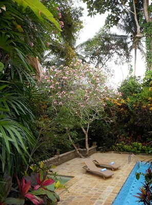 Property grounds - Rumah Ganesha (Ubud)