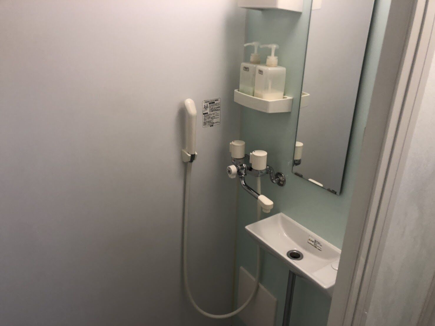 A bathroom with a white toilet, a sink, a mirror, and a handheld showerhead.