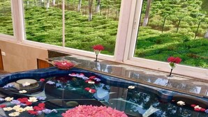 Un jacuzzi con pétalos de flores flotando en el agua, rodeado por un ventanal con vistas a un paisaje verde.