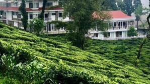 Un edificio de paredes blancas y techo rojo, rodeado de exuberantes plantaciones de té verde.