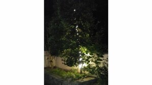 Un jardín con un banco de piedra y una pared, iluminado por pequeñas luces.