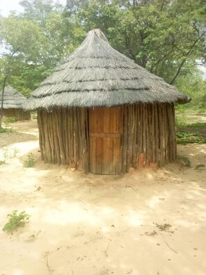 Front of property - Dumisa African Home (Victoria Falls)