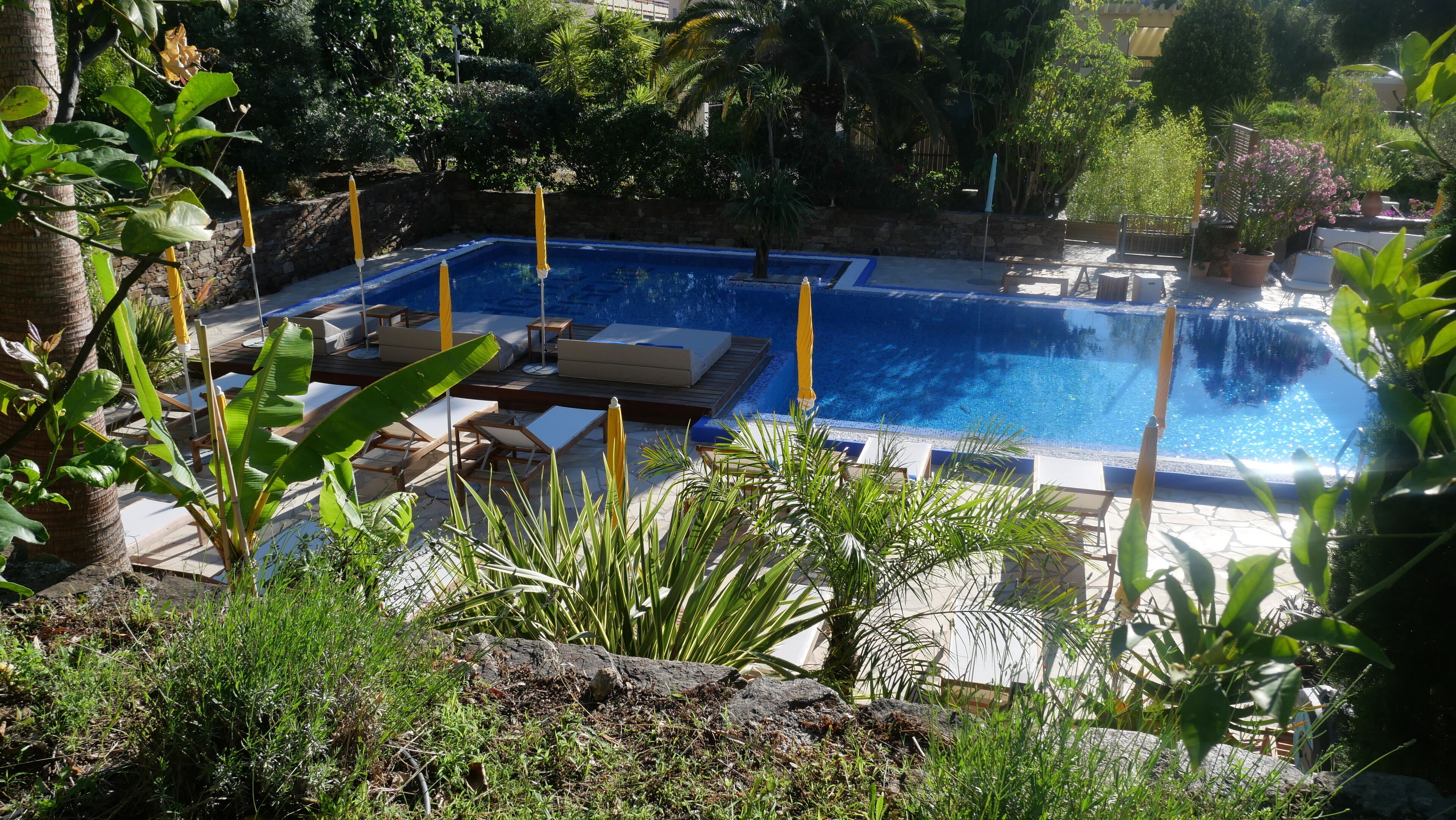 A swimming pool with lounge chairs and umbrellas, surrounded by lush greenery.