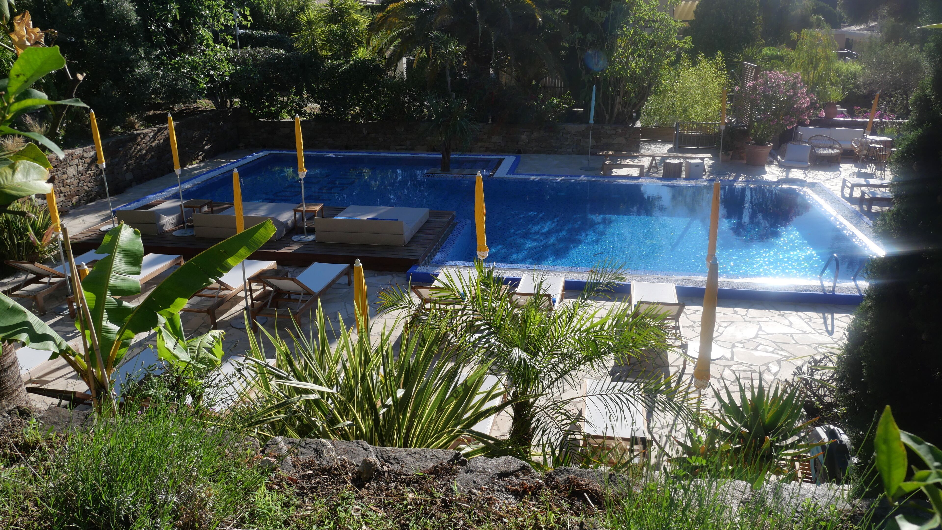 Et rektangulært swimmingpool med liggestole og parasoller, omgivet af grøn vegetation og en stenvæg.