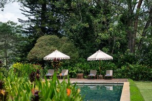 Outdoor pool, sun loungers - Nine Skies (Ella)