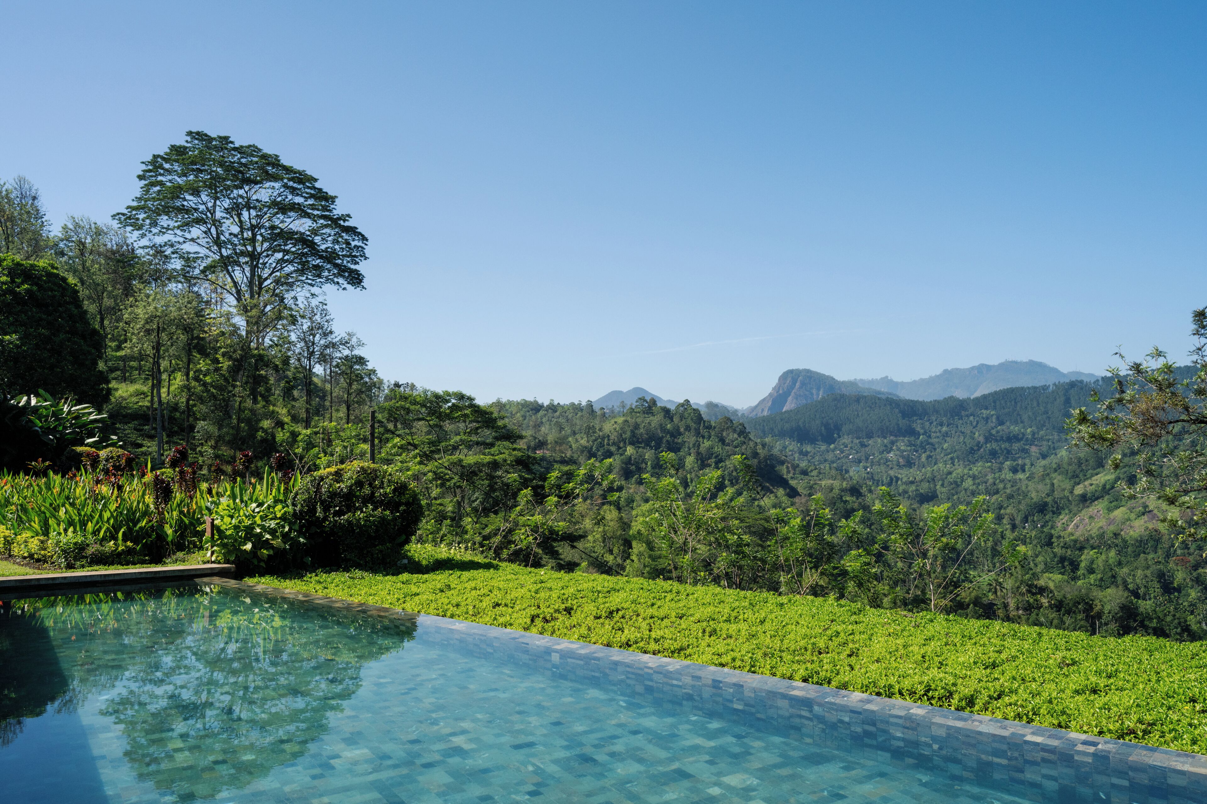 Piscine extérieure, chaises longues